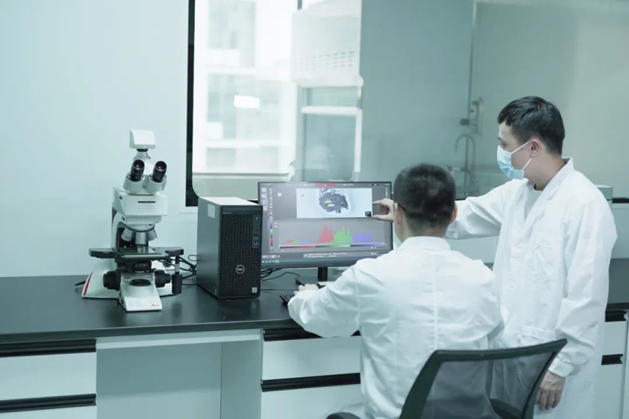 ����˹87978797(�й�)��Ʒ��-�ٷ���վ