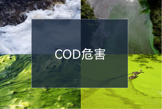 ����˹87978797(�й�)��Ʒ��-�ٷ���վ