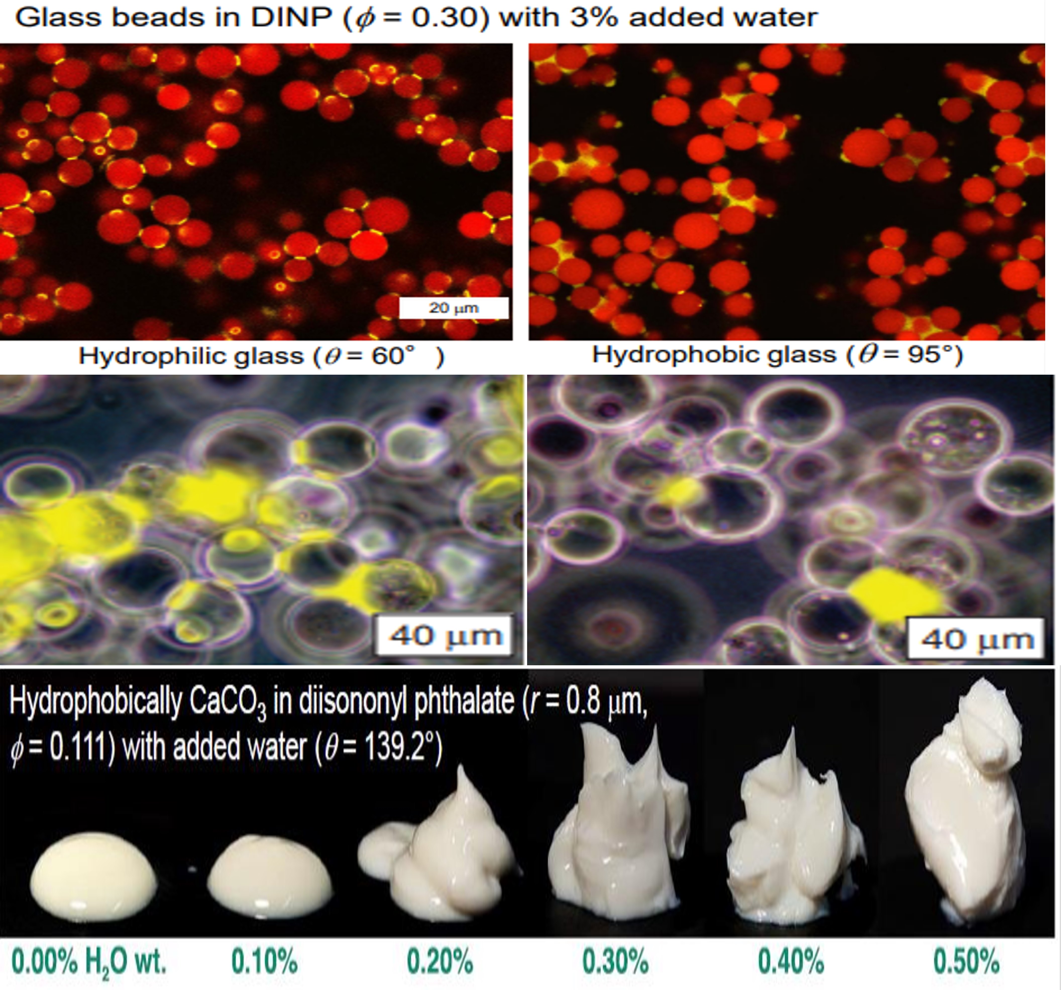 ����˹87978797(�й�)��Ʒ��-�ٷ���վ